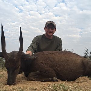 Hunting Bushbuck South Africa