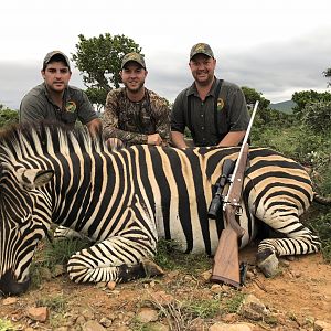 Burchell's Plain Zebra Hunting in South Africa