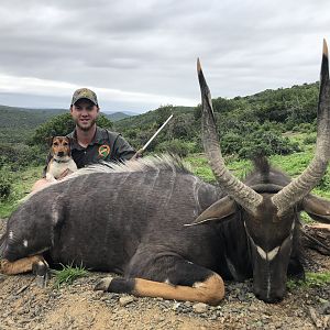 Hunt Nyala South Africa