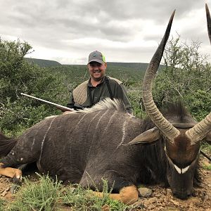 Nyala Hunting in South Africa