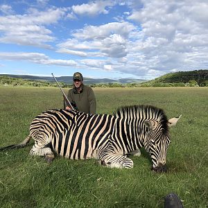 South Africa Hunting Burchell's Plain Zebra