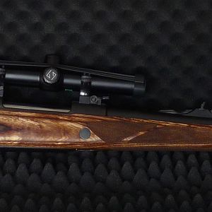 .450 Rigby Rifle