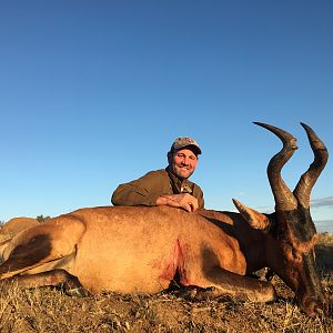 Hunting Red Hartebeest in South Africa