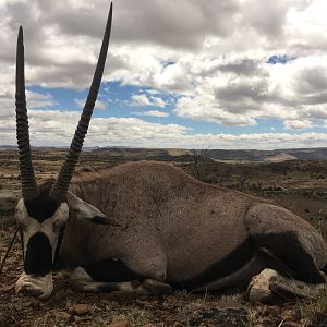 Gemsbok Hunting South Africa