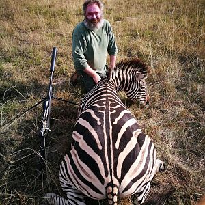 South Africa Burchell's Zebra Hunt