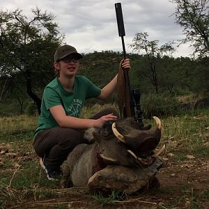 Warthog Hunt in Namibia