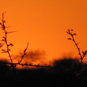 Namibia Sunset