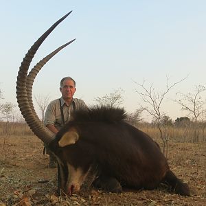 Sable Antelope Hunt South Africa