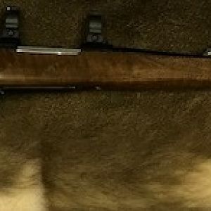 CZ 550 Medium Lux 7x64 Brenneke Rifle