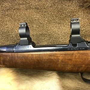 CZ 550 Medium Lux 7x64 Brenneke Rifle