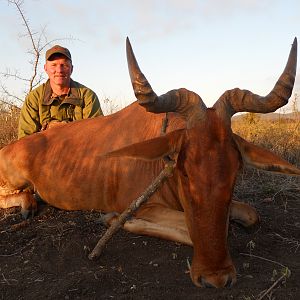 Tanzania Hunting Coke's Hartebeest