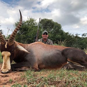 Blesbok Hunt in South Africa