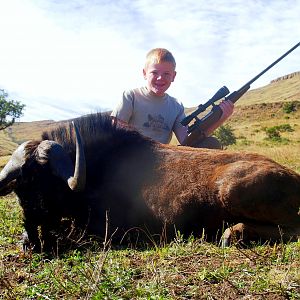 Black Wildebeest Hunting South Africa