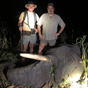 Elephant Hunting in Zimbabwe