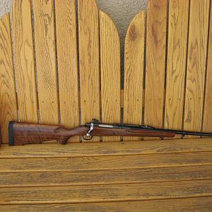 450 Marlin Bolt Gun Rifle