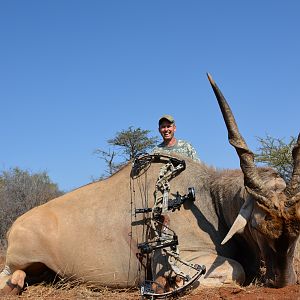 Bow Hunt Eland in South Africa