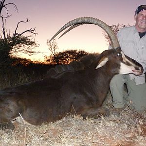 Hunting Sable Antelope South Africa