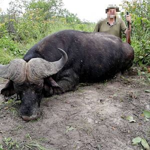 Namibia Hunt Cape Buffalo