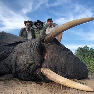 Hunting Elephant Zimbabwe