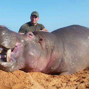 Hippo Hunting in Zimbabwe