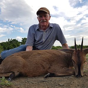 South Africa Hunting Duiker