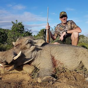 Hunting Warthog South Africa