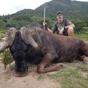 Hunt Black Wildebeest South Africa