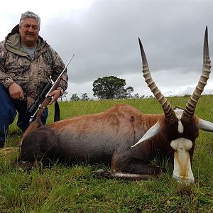 South Africa Hunt Blesbok