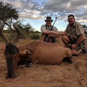 Namibia Hunt Red Hartebeest