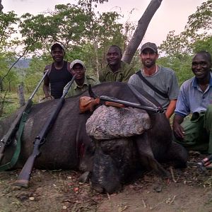 Cape Buffalo Hunt