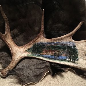 Antler Art - Bone Canvas