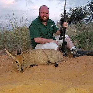 Hunting Duiker South Africa