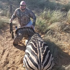 Hunt Burchell's Plain Zebra South Africa