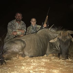 Blue Wildebeest Hunt in South Africa