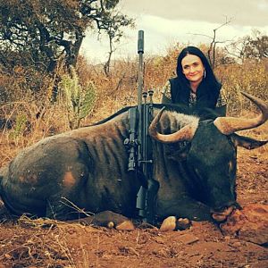 Hunt Blue Wildebeest South Africa