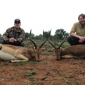 South Africa Hunt Impala