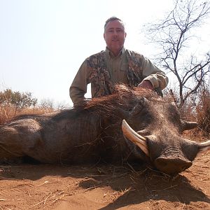 Warthog Hunt