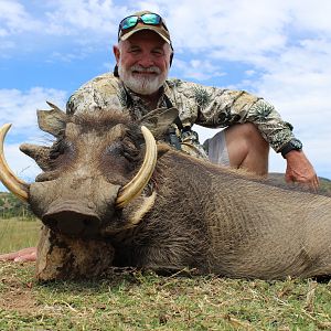 Hunting Warthog South Africa