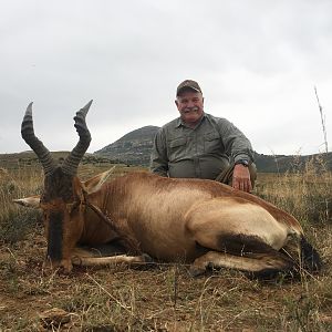 Red Hartebeest Hunting in South Africa