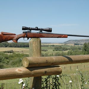 Rem 700 SS .375 RUM Rifle