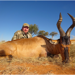 Red Hartebeest Hunt in Namibia