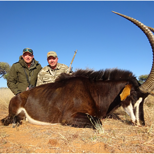 Hunting Sable Antelope Namibia