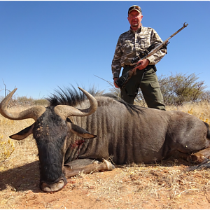 Namibia Hunt Blue Wildebeest