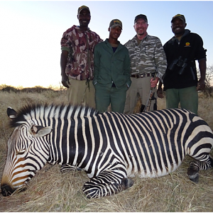 Hunt Hartmann's Mountain Zebra Namibia