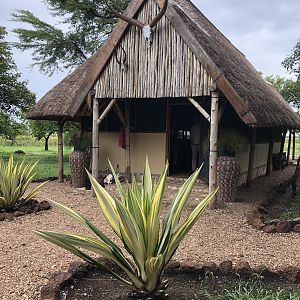 Hunting Camp Uganda