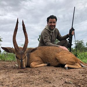 16" Inch East African Bushbuck Hunt Uganda