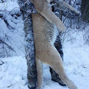 Mountain Lion Hunt