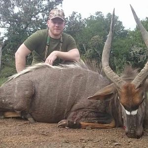 Nyala Hunting South Africa 3S Safaris