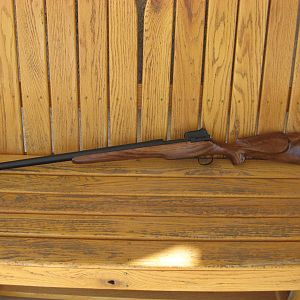 P14 Enfield in 50 Alaskan Rifle