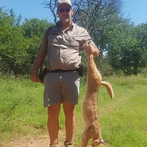 Hunting Caracal South Africa